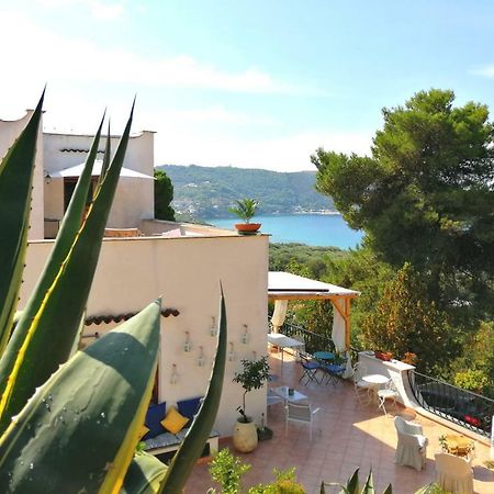 Il Sogno Di Vincenzo E Maria Bed & Breakfast ปาลีนูโร ภายนอก รูปภาพ