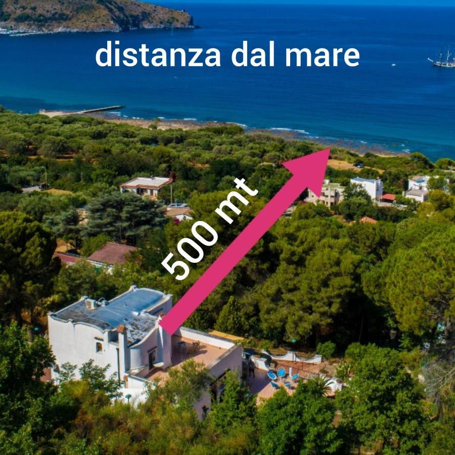 Il Sogno Di Vincenzo E Maria Bed & Breakfast ปาลีนูโร ภายนอก รูปภาพ
