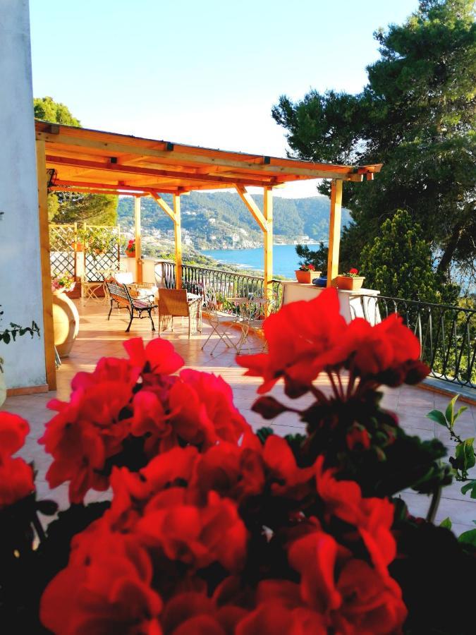 Il Sogno Di Vincenzo E Maria Bed & Breakfast ปาลีนูโร ภายนอก รูปภาพ