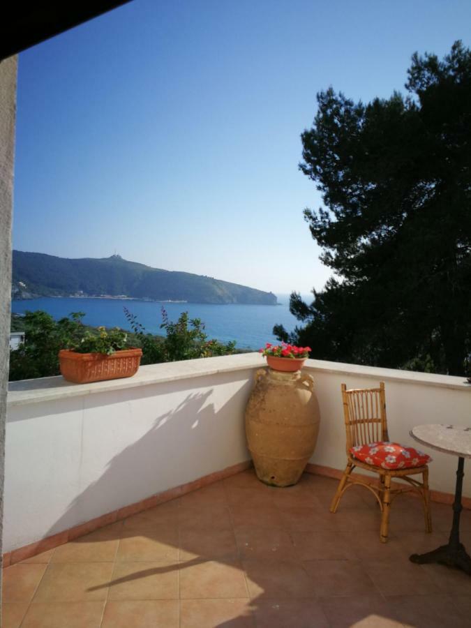 Il Sogno Di Vincenzo E Maria Bed & Breakfast ปาลีนูโร ภายนอก รูปภาพ
