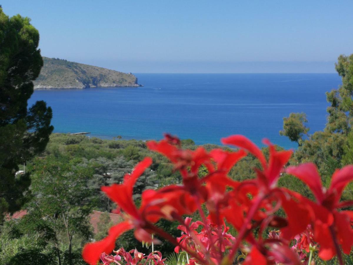 Il Sogno Di Vincenzo E Maria Bed & Breakfast ปาลีนูโร ภายนอก รูปภาพ