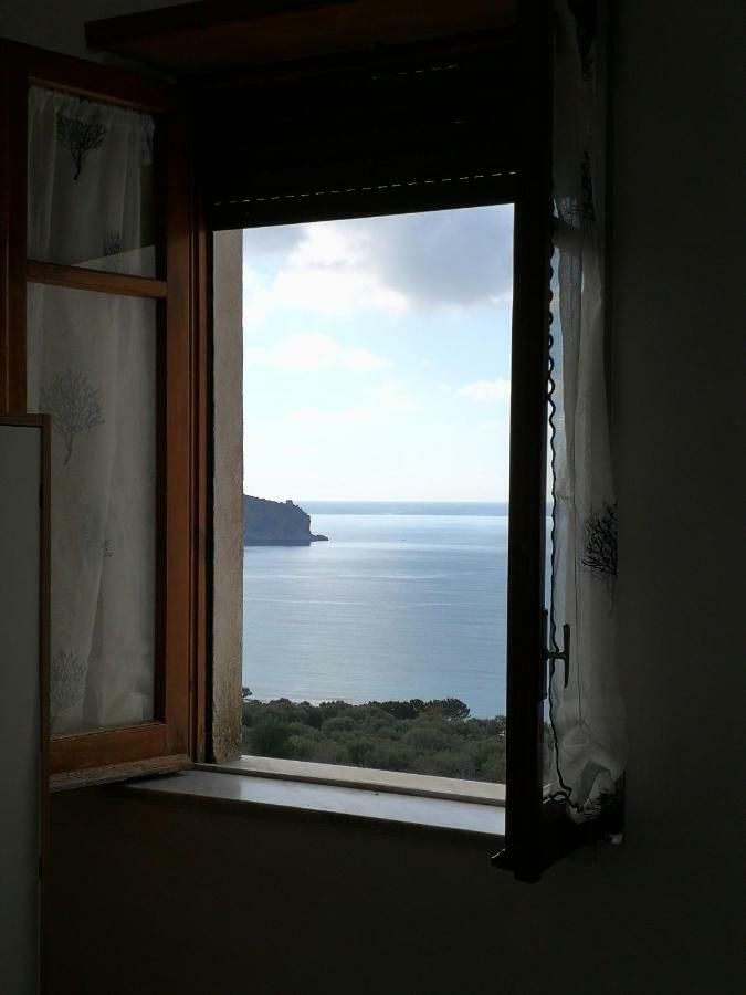 Il Sogno Di Vincenzo E Maria Bed & Breakfast ปาลีนูโร ภายนอก รูปภาพ