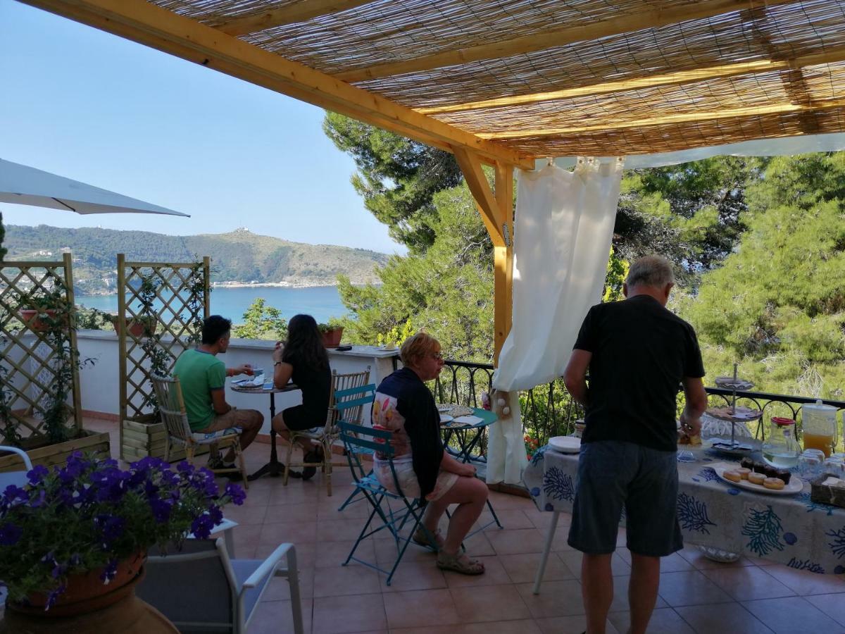 Il Sogno Di Vincenzo E Maria Bed & Breakfast ปาลีนูโร ภายนอก รูปภาพ