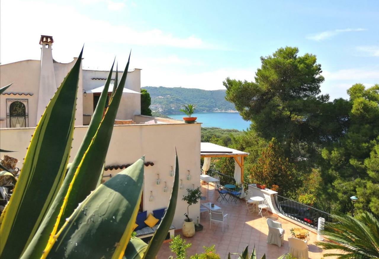 Il Sogno Di Vincenzo E Maria Bed & Breakfast ปาลีนูโร ภายนอก รูปภาพ